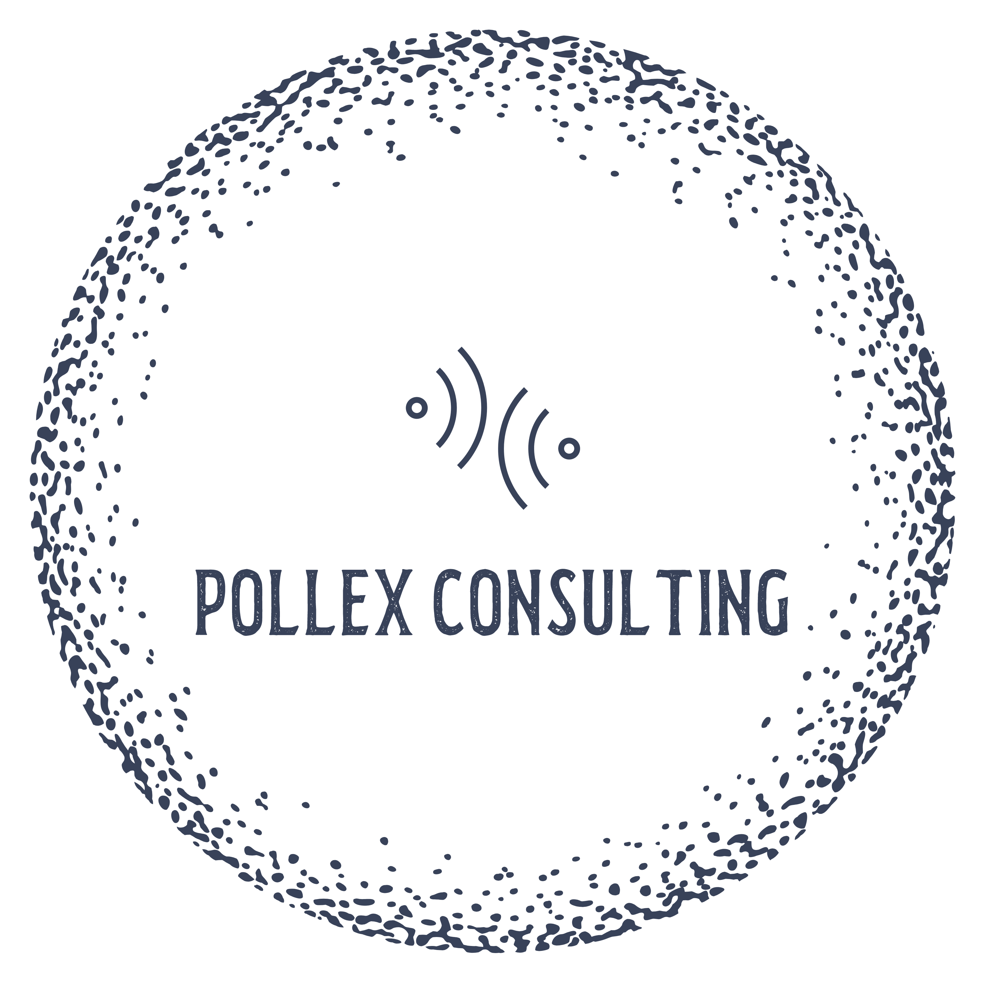 Pollex Consulting